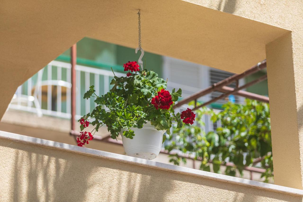 Barba Apartment Tucepi